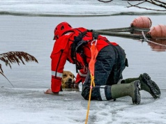 Strażacy z Mąkowarska uratowali psa z zamarzniętego jeziora