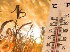 Takie będzie lato 2026. Meteorolodzy odsłaniają karty