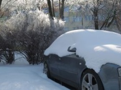Od 33 lat dzierżawił atrakcyjny grunt. Teraz nie chce oddać go miastu