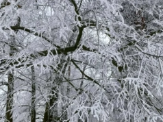 Ostrzeżenie pierwszego stopnia w Ciechanowie i okolicznych gminach