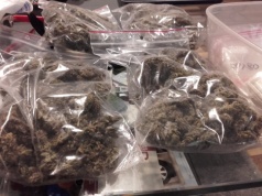 Narkotyki w mieszkaniu i zakopana skrytka. 32-letni mieszkaniec gminy Biskupiec stanie przed sądem