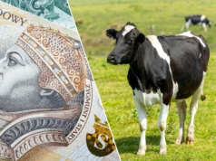 Wyższe dopłaty i mniej biurokracji w ARiMR? Rolnicy żądają pilnych zmian w ekoschematach