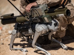 Psy roboty będą ochraniać mecze mundialu 2026. Są pierwsze szczegóły