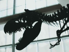 AI tropi pradawne zwierzęta. Odkryła coś ważnego