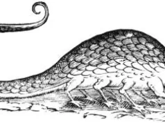 Potwór spod Starego Rynku w Warszawie. Historia, która mrozi krew w żyłach