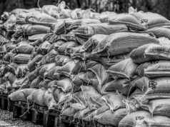 UE ogranicza import rosyjskich nawozów. Tymczasem Polska bije rekordy zakupów