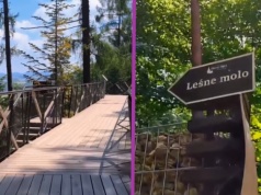 Spacer w koronach drzew i widok na góry. Ta atrakcja jest całkowicie darmowa