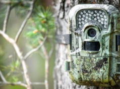Fotopułapki. Tych modeli możecie użyć jako niezawodny, domowy monitoring