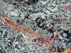 Co naprawdę kryje się w popiele z kominka? Skład może zaskoczyć