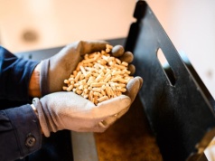 Pelletowa gorączka? MKiŚ wyjaśnia przyczyny rynkowych napięć