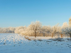 Mroźny wtorek i nadchodzące zmiany w pogodzie