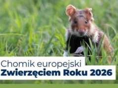 To zwierzę wygrało w plebiscycie tytuł Zwierzęcia Roku 2026