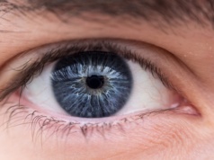 Siatkówka oka stworzona w laboratorium ujawniła sekret stojący za ludzkim wzrokiem