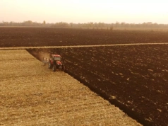 Rolnik nie może iść na rozprawę. Kto z rodziny może go zastąpić?