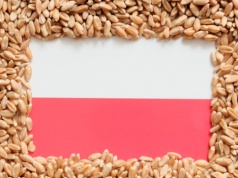 Nowe szanse dla polskiej żywności. Rośnie sprzedaż poza UE