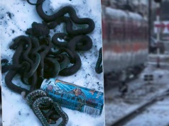 Straszny widok w Malborku. "Węże porzucone na peronie"