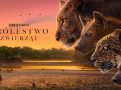 Królestwo zwierząt - wciągająca opowieść o sile i rywalizacji w BBC Earth