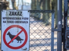 Parafia w Gdyni zakazała wprowadzania psów na cmentarz. W sieci zawrzało