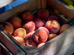 Rekordowy eksport żywności z Polski. 248 mld zł wyjechało za granicę