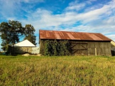 Będą uproszczenia w obrocie ziemią rolną. Rząd przyjął deregulację MRiRW