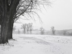 Amerykańscy meteorolodzy ostrzegają: zima potrwa aż do połowy marca
