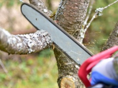 Piła w ruch po 60 dniach. Sejm szykuje wielką zmianę na prywatnych działkach