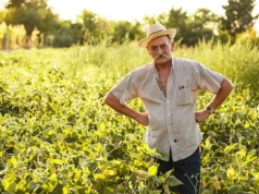 Emeryt z KRUS bez pieniędzy na prawnika. Kiedy sąd przyzna adwokata z urzędu?