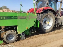 Stanowisko Europlant: producent sadzeniaków zabiera głos w sporze o kryzys na rynku ziemniaka