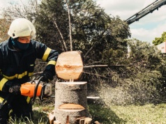 Milcząca zgoda na wycinkę drzew. Nowe zasady dla właścicieli posesji