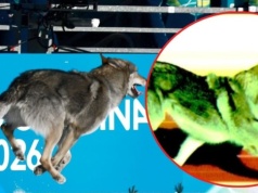 Pies skradł show na trasie sprintu. Najlepszy fotofinisz igrzysk?