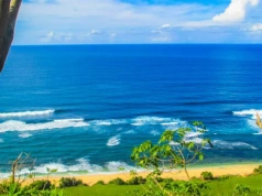 Przywieźli tropikalną chorobę do Polski. Zakażeni turyści w krakowskim szpitalu