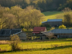 Kara za brak OC budynków rolniczych w 2026 roku. Ile zapłaci rolnik?