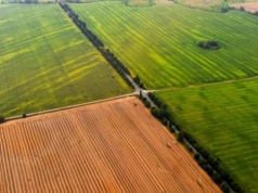 Rolnicy chcą pierwszeństwa przy zakupie ziemi w przetargach komorniczych