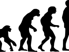 Skamieniałość z Chin zawiera tkanki naszego tajemniczego przodka. Miał dodatkową parę oczu