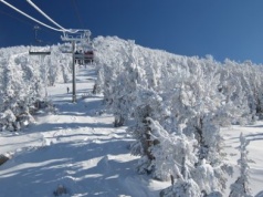 Lawina w rejonie Lake Tahoe zabiła 8 osób