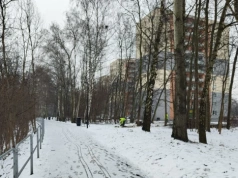 Dzień dobry Katowice. Sporo drzew zostało wyciętych przy stawie Morawa