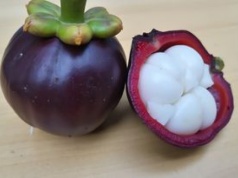 W Polsce mało znany. W innych krajach jest hitem i nazywa się go "królem owoców"