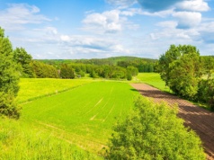 Susza uderza w łąki. Hodowcy czują się pominięci w systemie