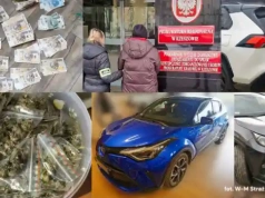 Rozbito grupę handlarzy kradzionymi autami. W tle „lecznicza” marihuana