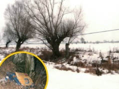 Ciało noworodka porzucone w rowie. Czy po latach uda się dojść do prawdy?