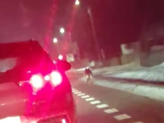 Zwierzę przypominające wilka widziane w rejonie Nowych Igań. Policja i służby interweniowały