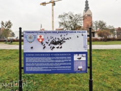 Czytelniczka: Dokarmiajmy ptaki również nad rzeką