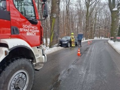 Pracowita doba cieszyńskich strażaków. Powalone drzewa, drogowe kolizje, pożar w kominie i kot na drzewie