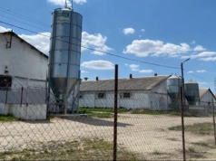 Wyrok za smród z chlewni w Domaszkowicach 