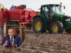 Aktywny rolnik: Prezydent RP zawetował ustawę. Co z dopłatami bezpośrednimi w 2026 r.?