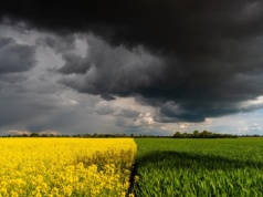 Karol Nawrocki zatrzymał zmiany w rolnictwie. "Przepisy premiują wielkie podmioty"
