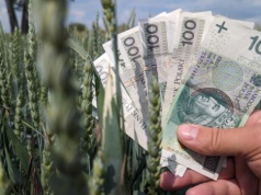 Ruszyły tanie kredyty dla rolników. Lista banków i stawki