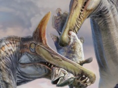 Pierwszy nowy gatunek Spinozaura od 1915 roku, wymieniony w nowym raporcie, miał grzebień w kształcie szabla