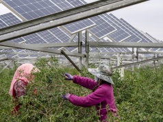 Nowy lider globalnej polityki klimatycznej. Chiny przestają ukrywać swe zamiary