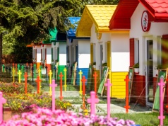 Psia Wioska w Elblągu